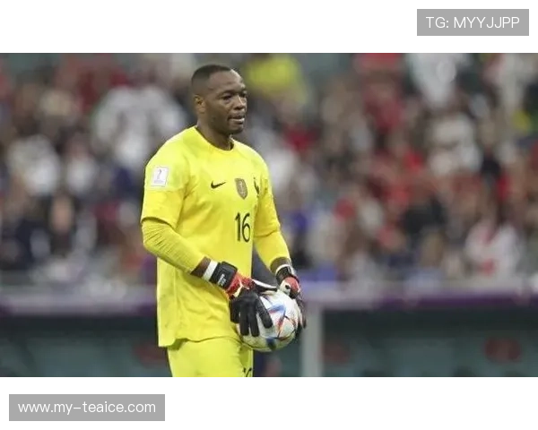 40岁前法国国门曼丹达正式宣布退役结束辉煌二十年职业生涯 40岁前法国国门曼丹达正式宣布退役结束辉煌二十年职业生涯